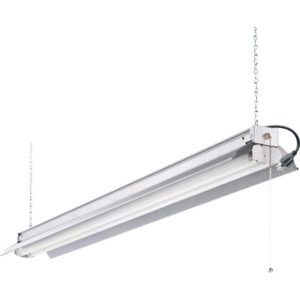 T8 Light fixture